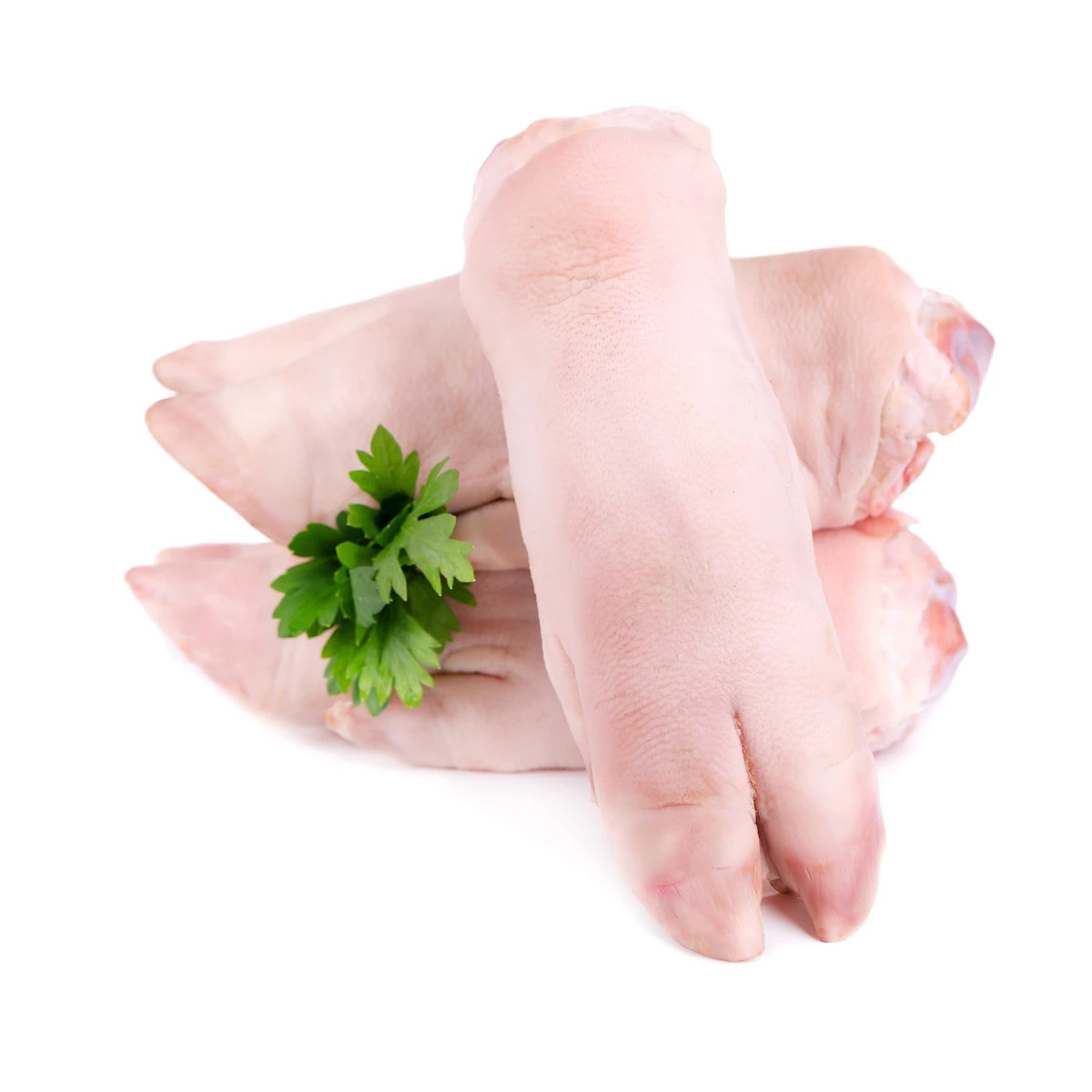 Patitas